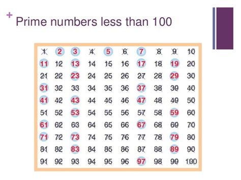 prime numbers less than 15|prime numbers greater than 20.